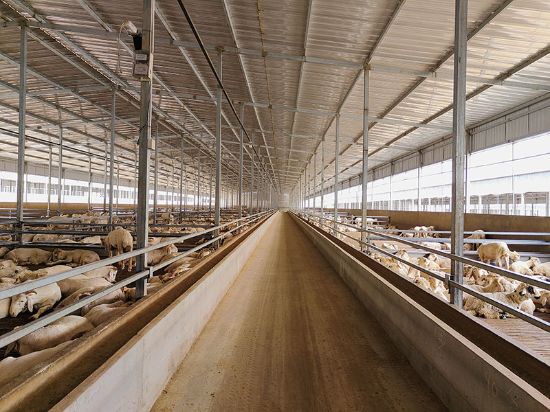 養(yǎng)殖小區(qū)